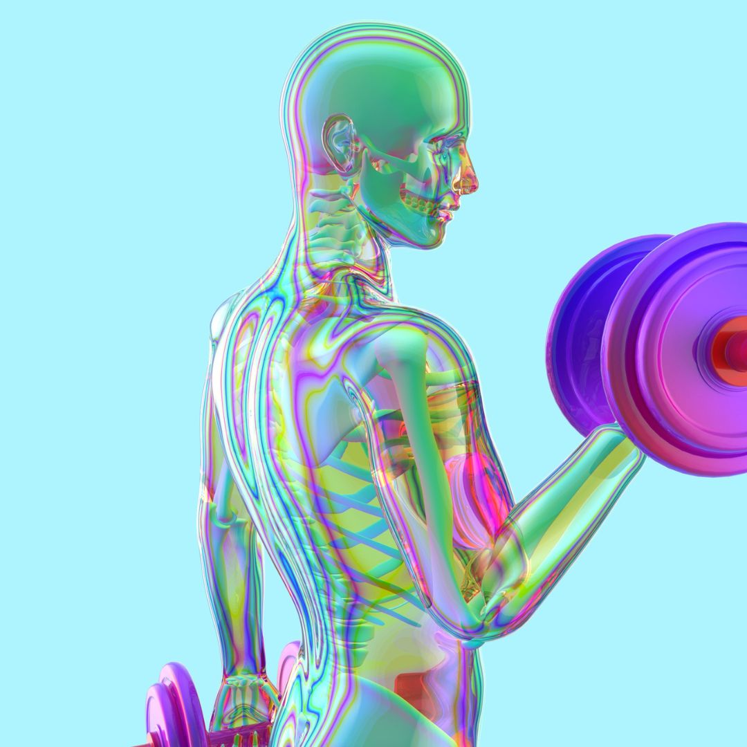Biologie hinter dem Schwitzen: unsere Anatomie