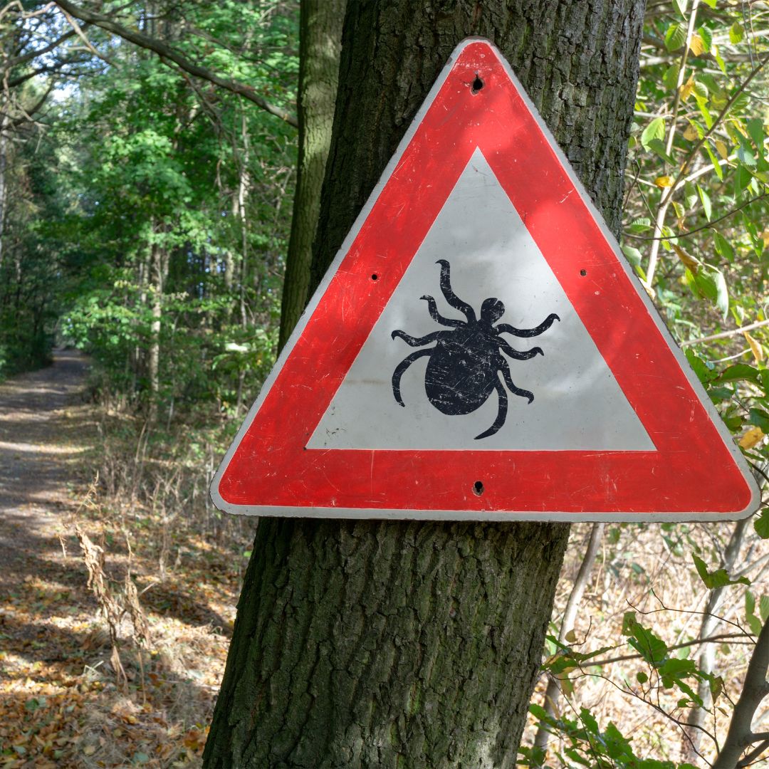 Warntafel gegen Zecken vor Wald