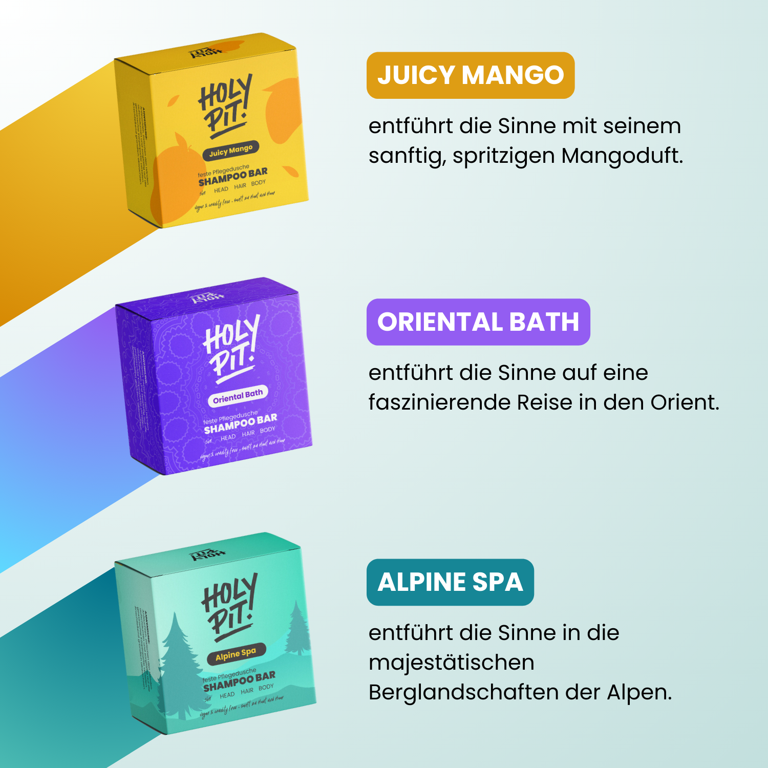REFILL-SPONGE | SHAMPOO | STARTERPACK