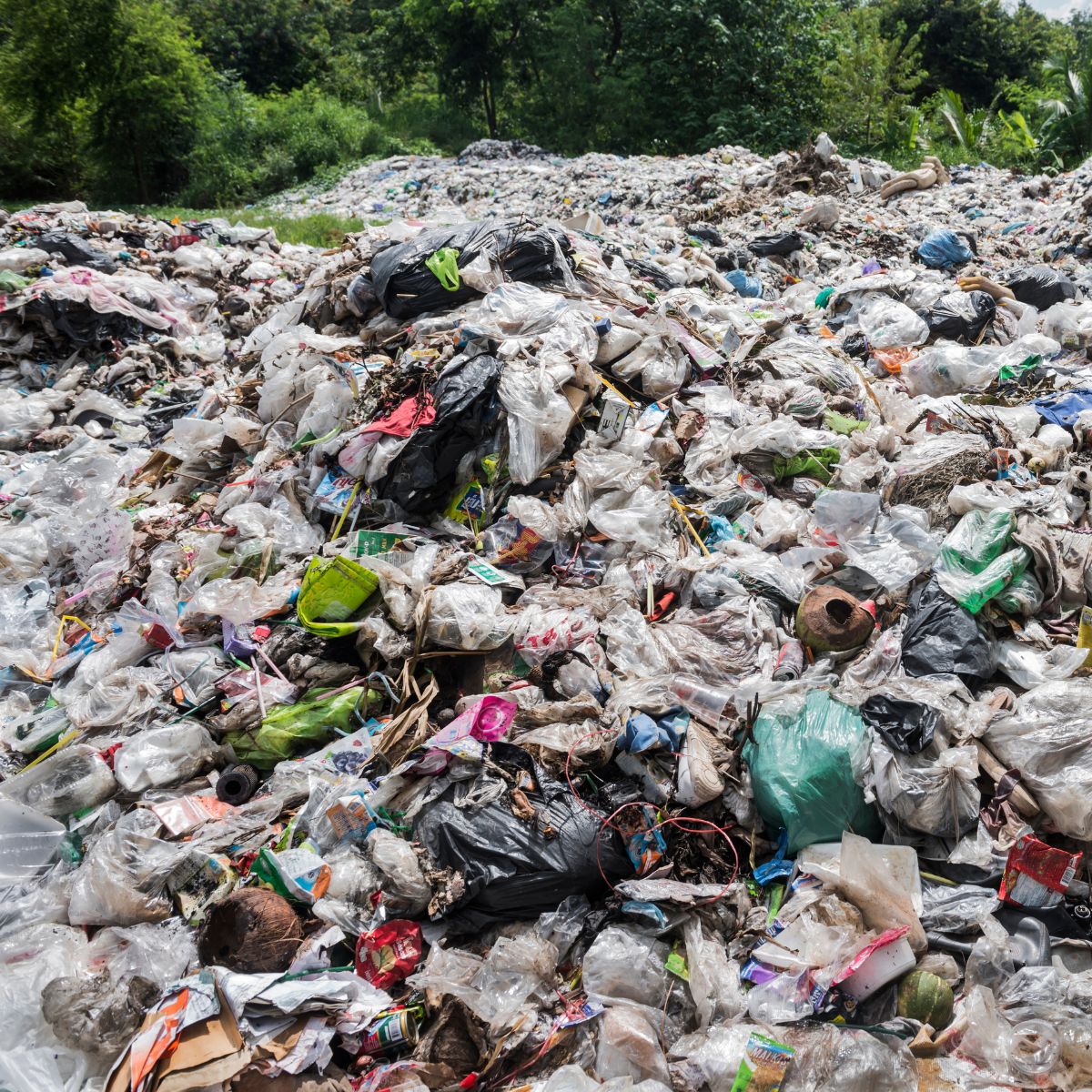 Umweltverschmutzung durch Plastikmüll