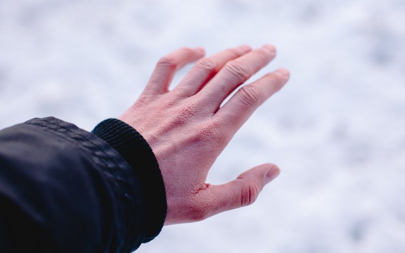 holy pit handpflege