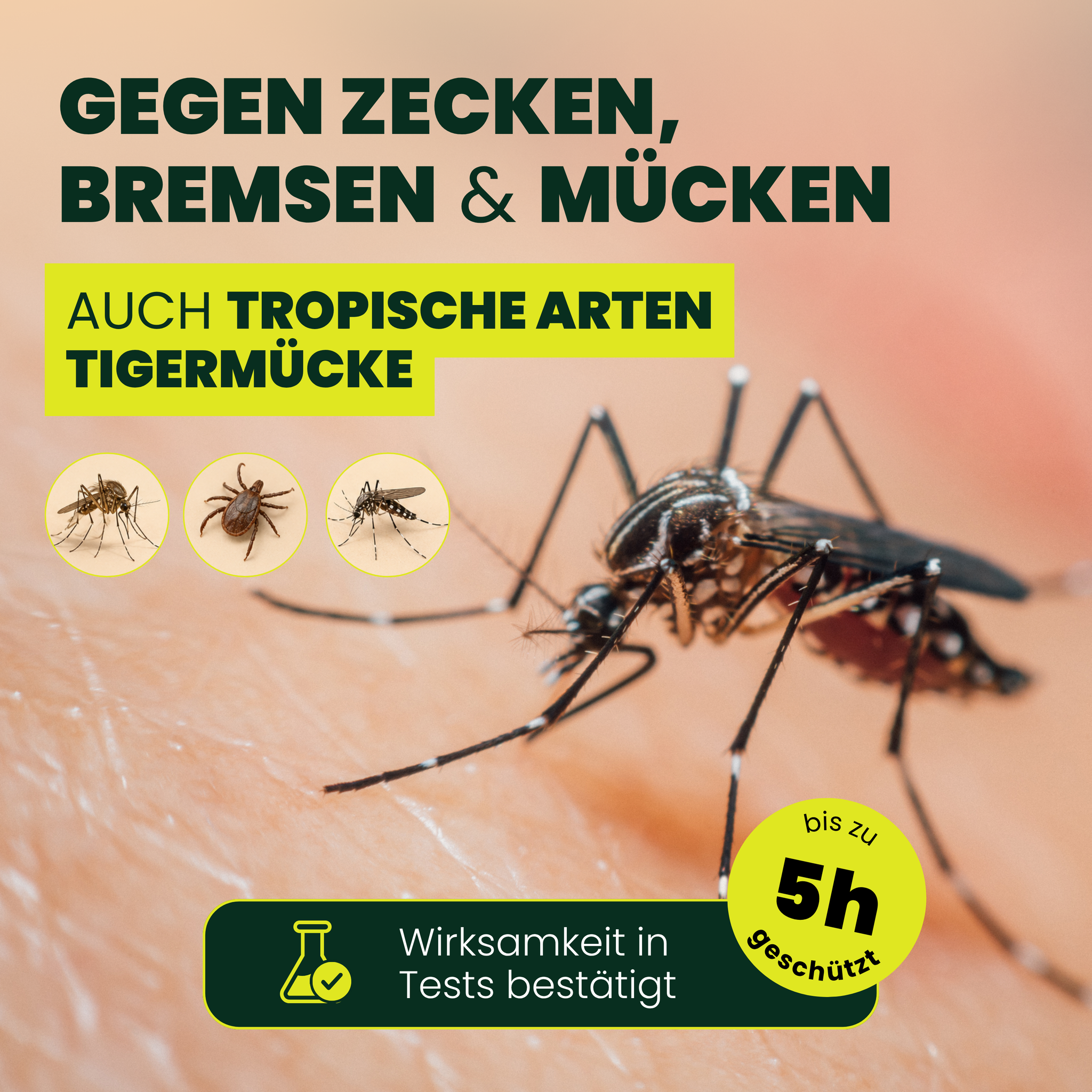 ANTI-ZECKEN & MÜCKEN REPELLENT-STICK | STARTERPACK