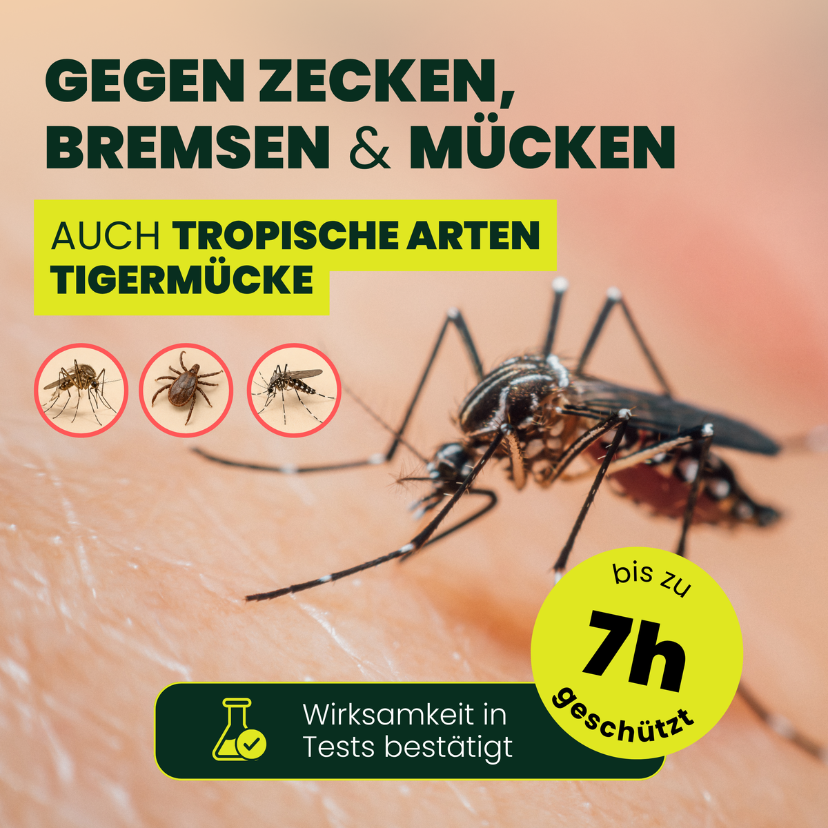 Anti-Mücken & Zecken Schutz Paket | STICK & SPRAY BUNDLE