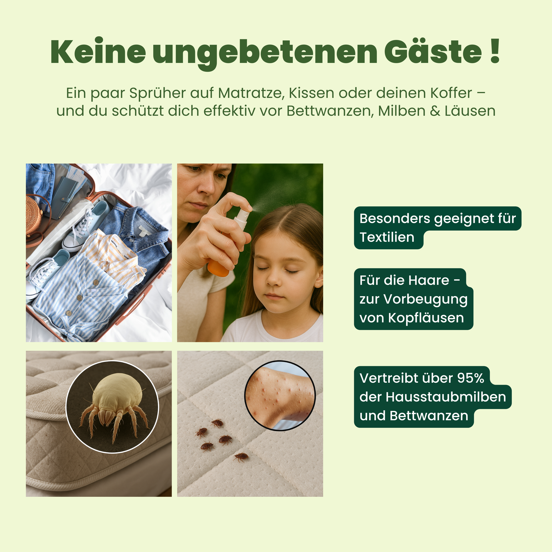 REISESCHUTZ | SPRAY BUNDLE